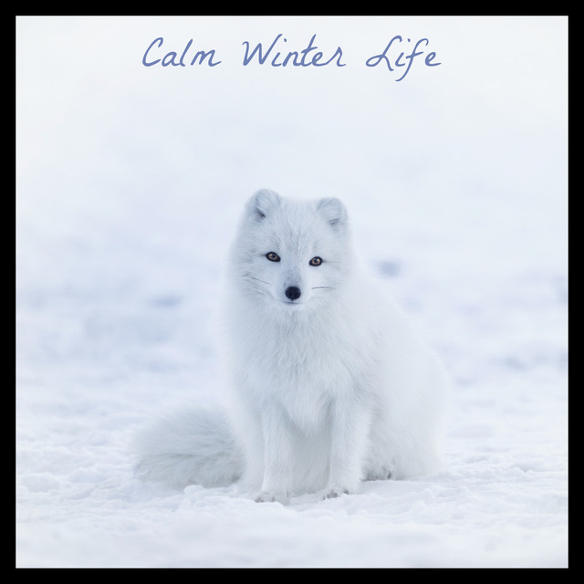 Calm Winter Life cover art