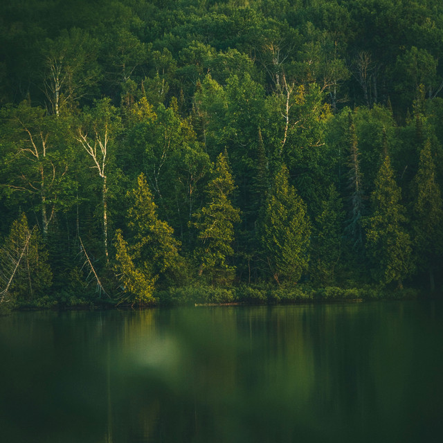Green lake cover