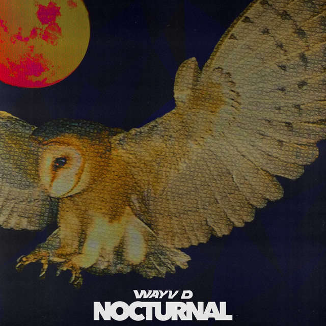 Nocturnal album art