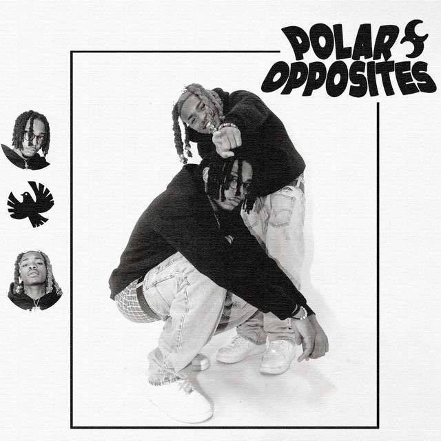 POLAR OPPOSITES cover art