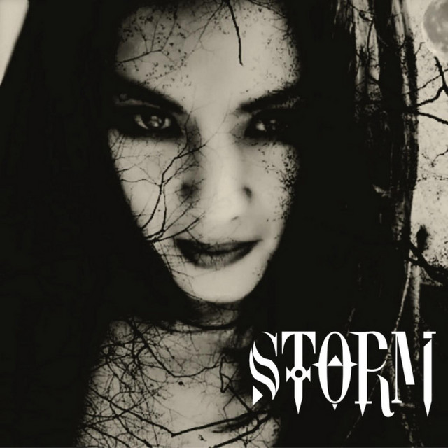 Storm's a Brewin' cover art