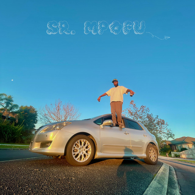 Do Not Disturb cover art