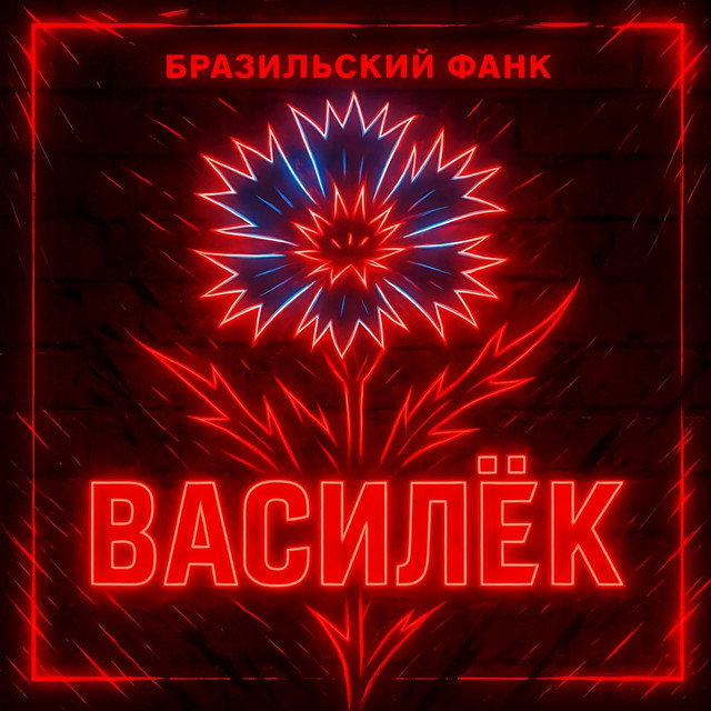 Василёк (Бразильский фанк) album image