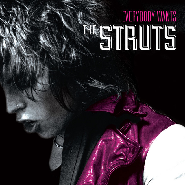 Everybody Wants cover art