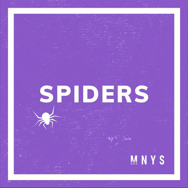 SPIDERS cover art