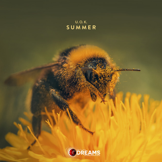 Summer cover art