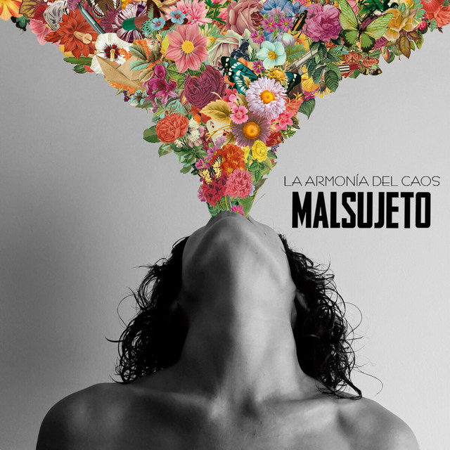 La Armonía del Caos cover art