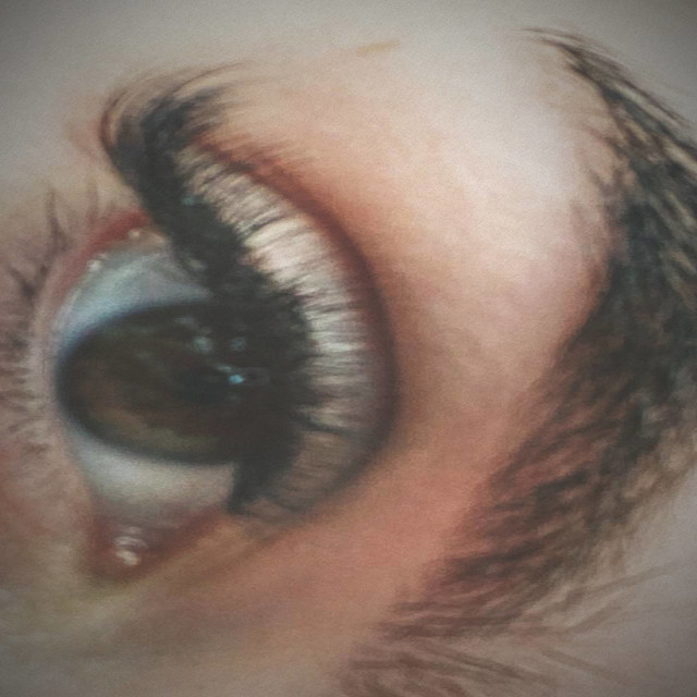 Обкладинка: Ferlwaste — LZXQW