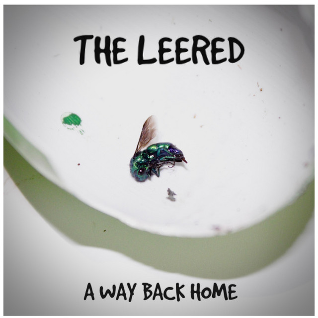 A Way Back Home cover art