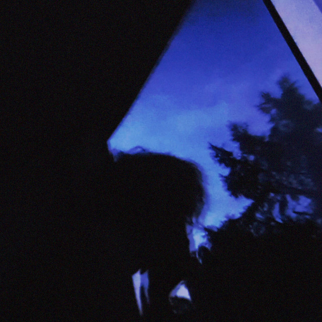 defense mechanism cover art
