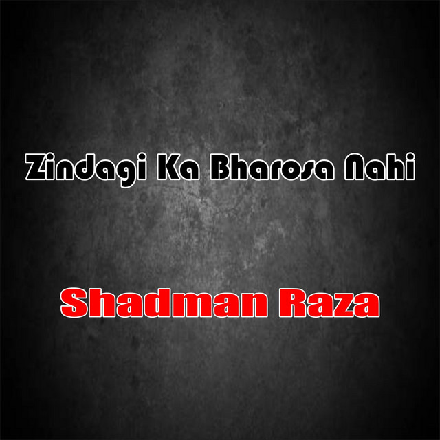 Zindagi Ka Bharosa Nahi (Original) cover art