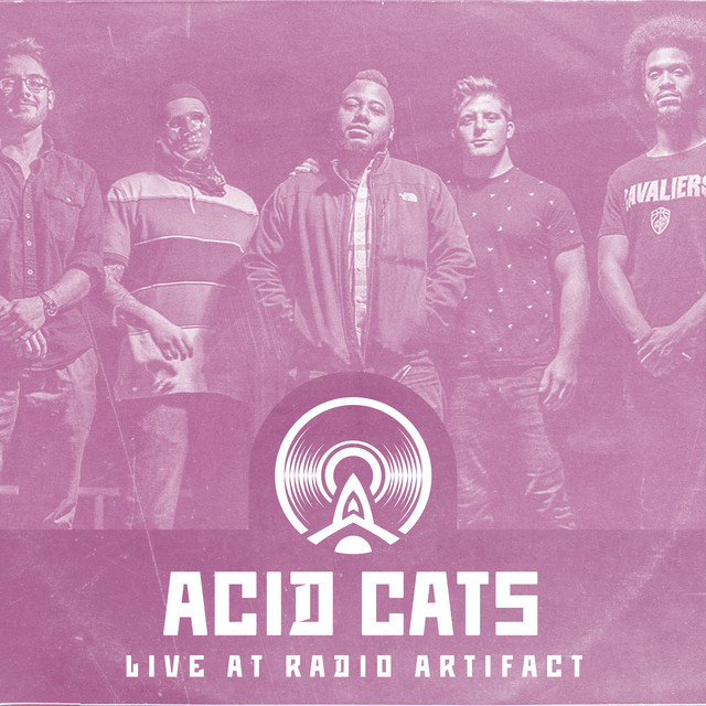 Acid Cats - Live at Radio Artifact cover art