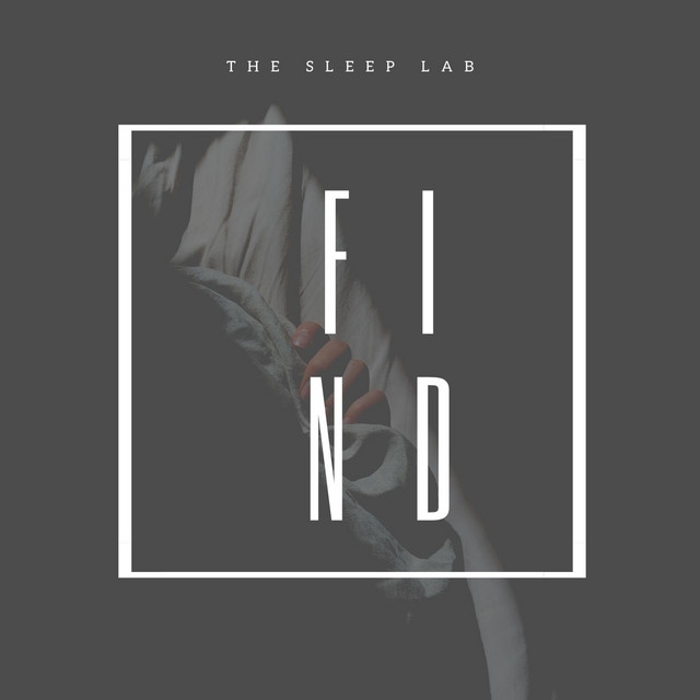 Find - Single by Sleep Lab | Spotify