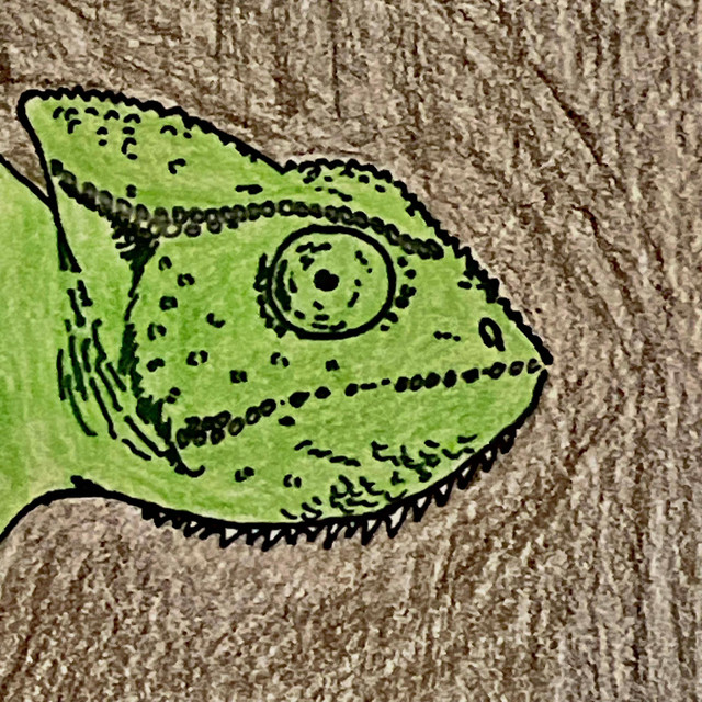 The Chameleon cover art
