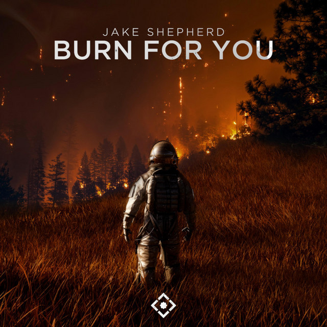 Burn For You