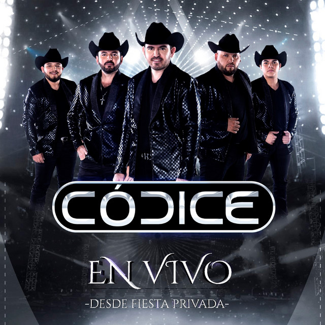 Desde Fiesta Privada (En Vivo) cover art