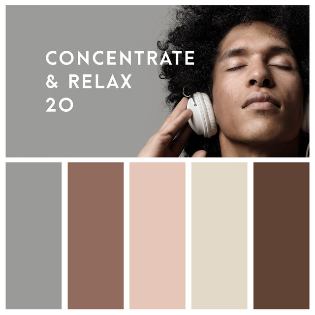 Concentrate & Relax 20 cover art