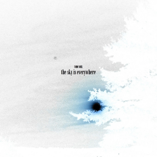 the sky is everywhere cover art