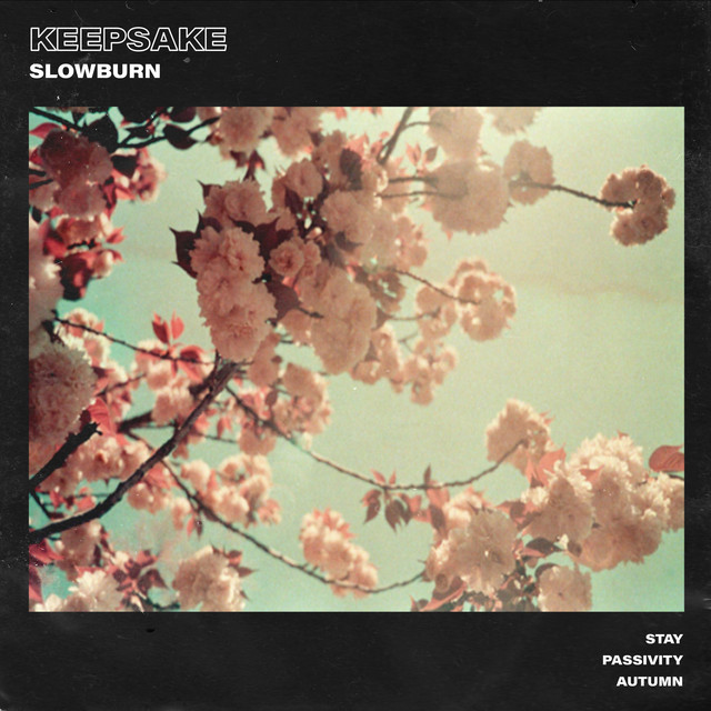 Slowburn cover art