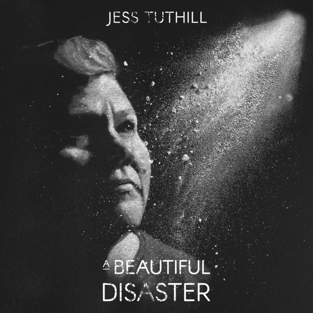 A Beautiful Disaster cover art