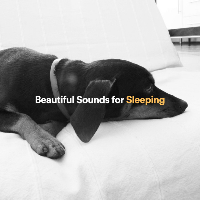 Beautiful Sounds for Sleeping cover art
