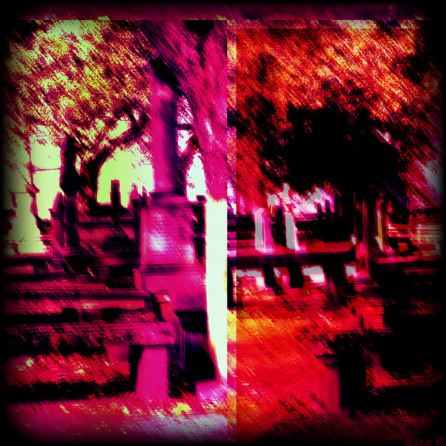 Withered Leaves cover art