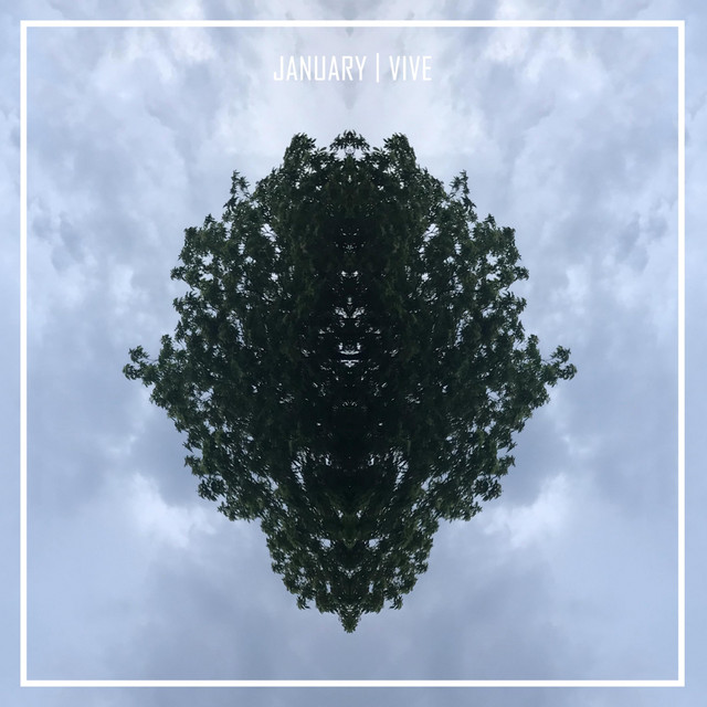 Vive cover art