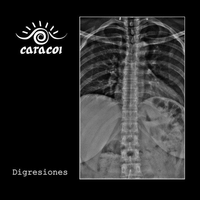 Digresiones cover art