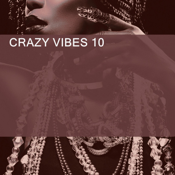 CRAZY VIBES 10 cover art