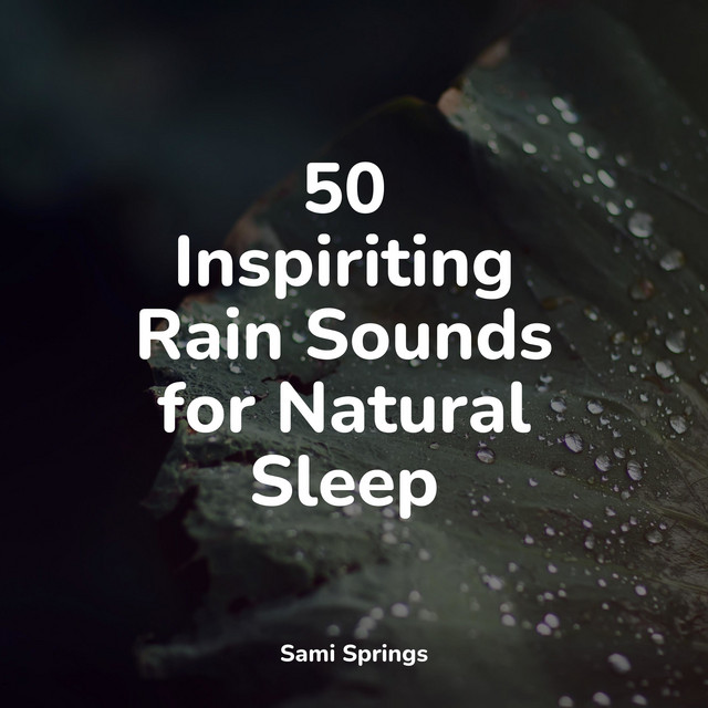 50 Inspiriting Rain Sounds for Natural Sleep - Album by Rain Sounds ...