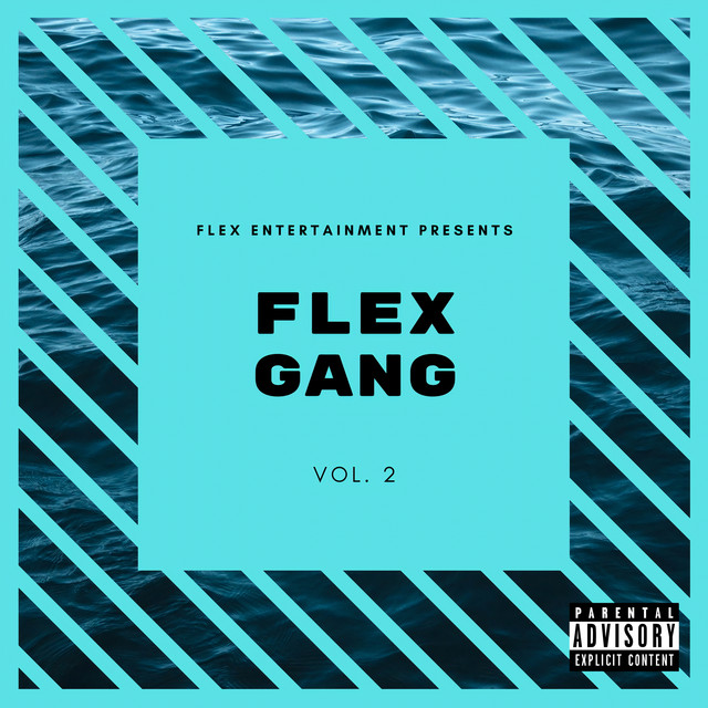 Flex Gang, Vol. 2 - Compilation by Various Artists | Spotify