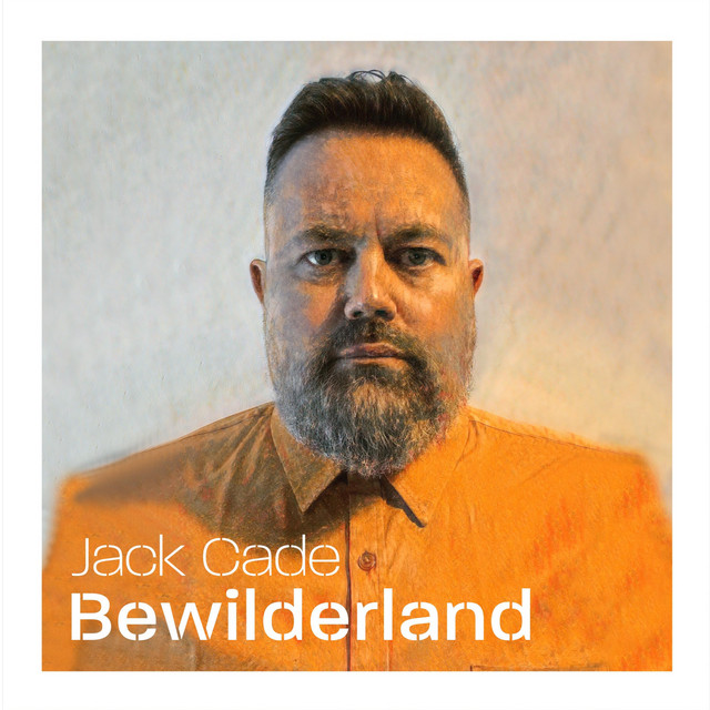 Bewilderland cover