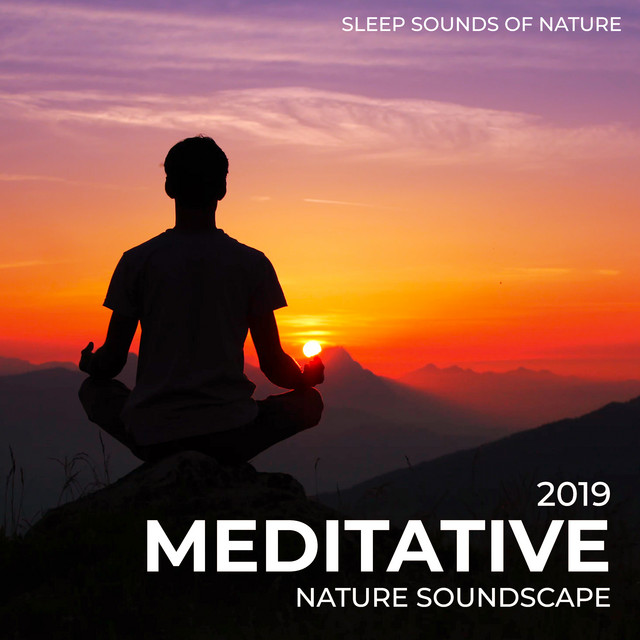 2019 Meditative Nature Soundscape - Album by Sleep Sounds of Nature ...