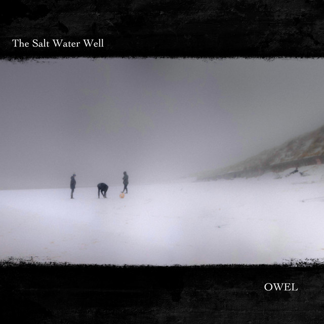 The Salt Water Well cover art