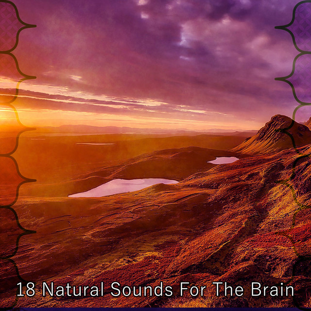 18 Natural Sounds For The Brain - Album by Pro Sound Effects Library ...