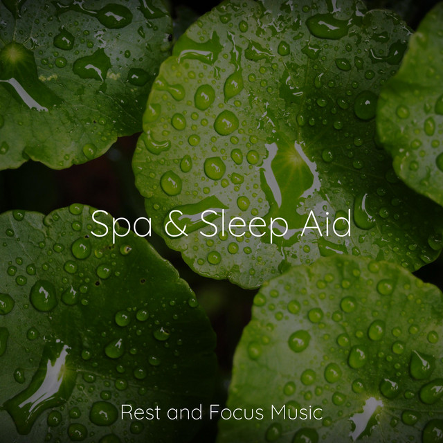 Spa & Sleep Aid - Album by Life Sounds Nature | Spotify