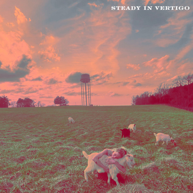 Steady in Vertigo cover art