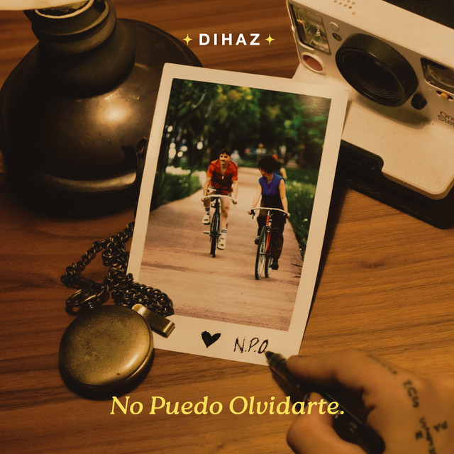 No Puedo Olvidarte
