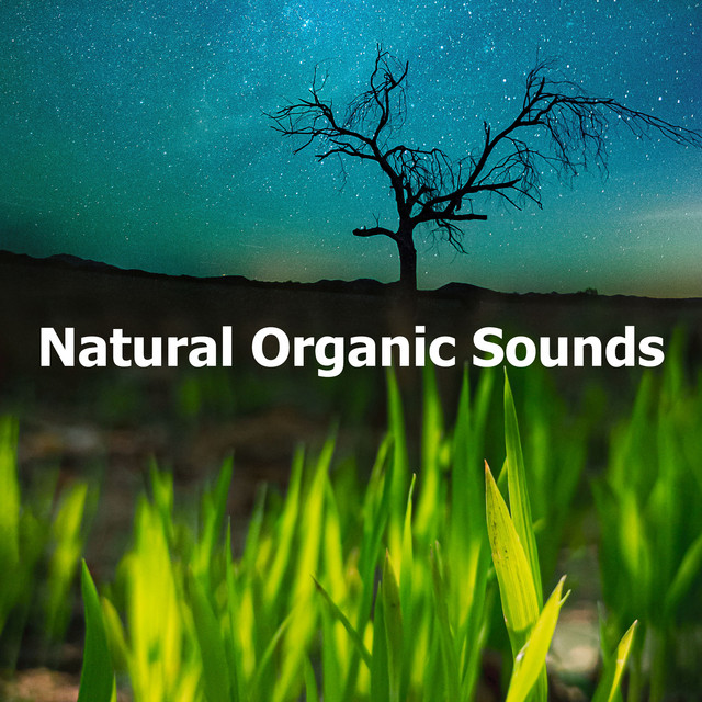 Natural Organic Sounds - Album by Tranquil Music Sound of Nature | Spotify