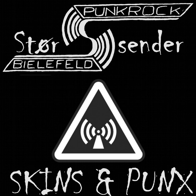 Skins & Punx cover