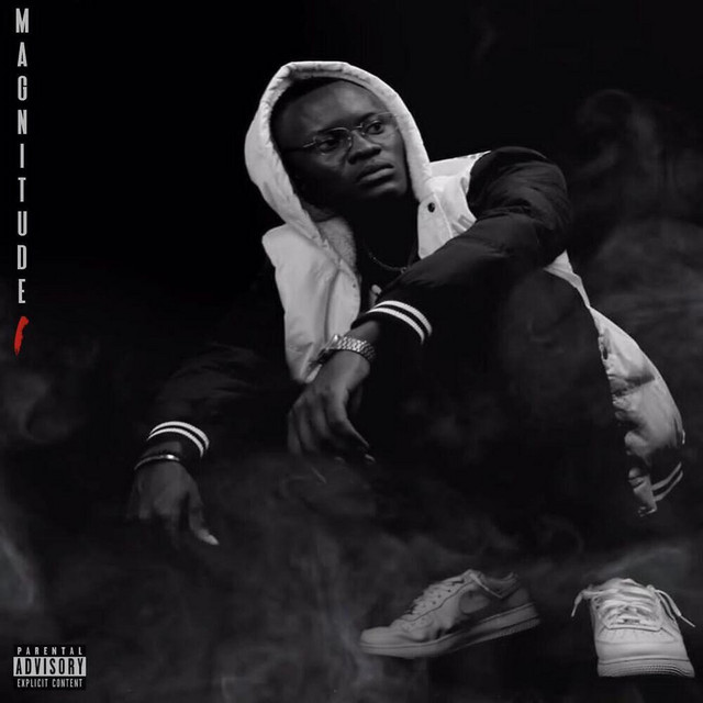 Magnitude I cover art