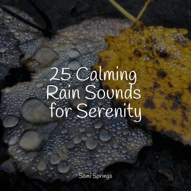25 Calming Rain Sounds for Serenity - Album by White Noise for Deeper ...