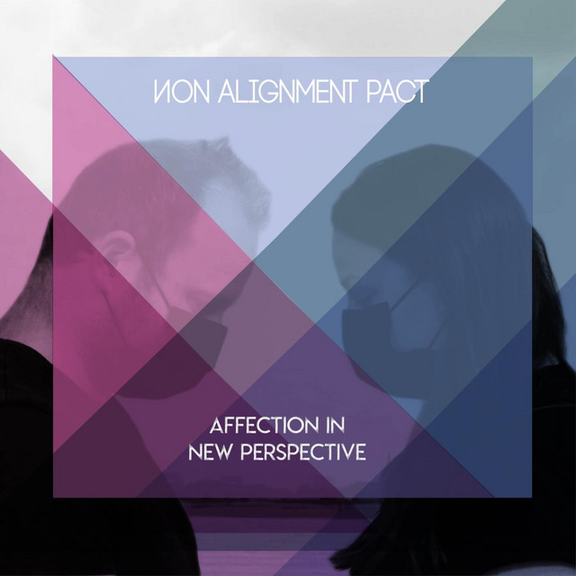 Affection in New Perspective cover