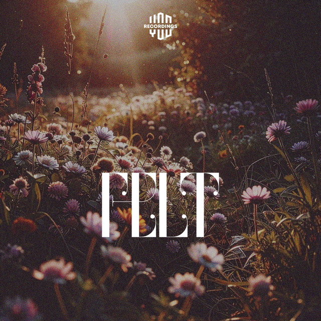 Felt cover art