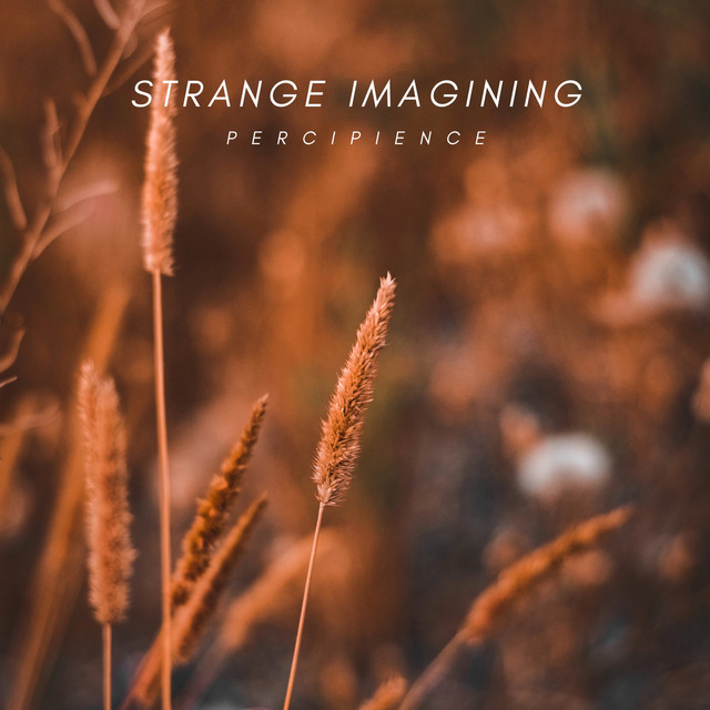 Percipience cover