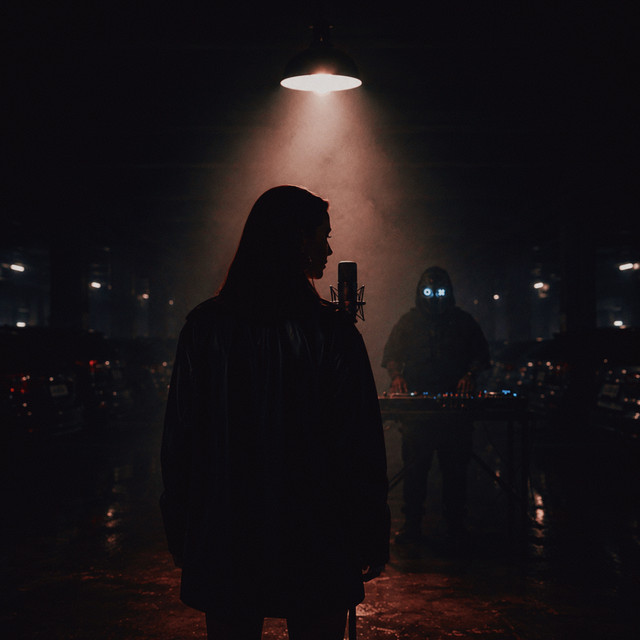 undefined album image