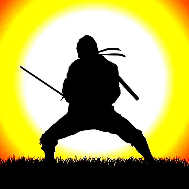 US Ninja Academy cover