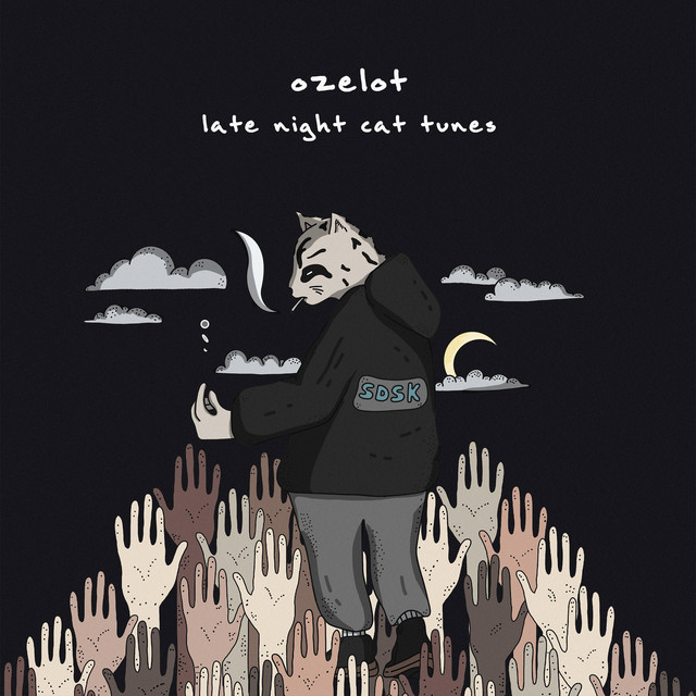 Late Night Cat Tunes cover art