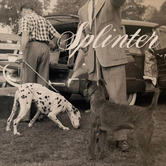 Splinter Demo cover art