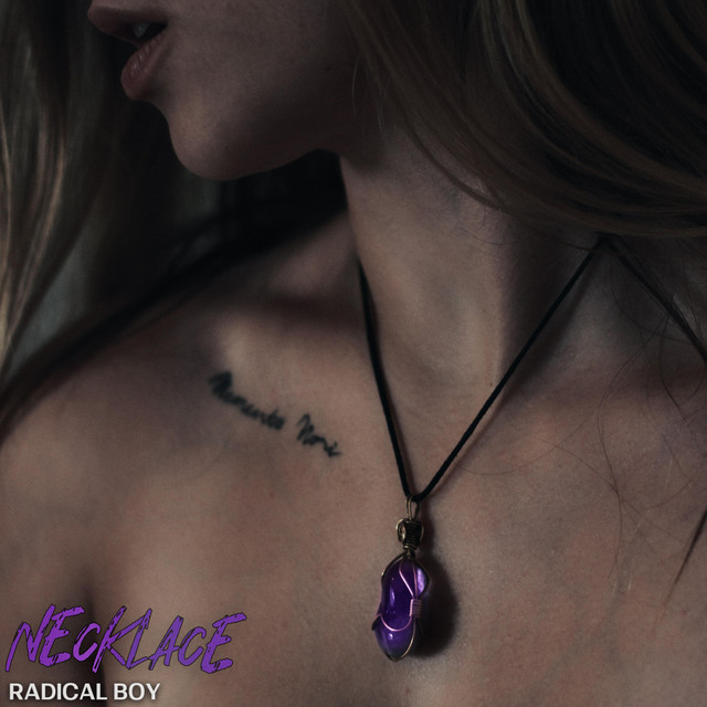 Necklace cover